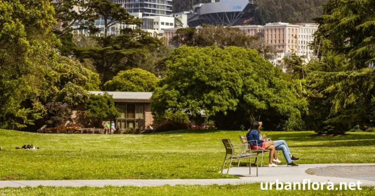 salesforce park san francisco