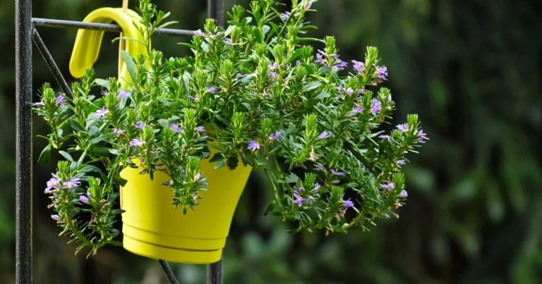 indoor herb gardens